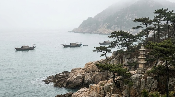 آخر أخبار الشركة وثقافتها | SNAT Solar - الشركة الرائدة في مجال توفير حلول الطاقة الشمسية