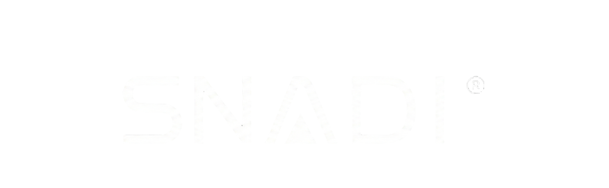 SNADI & SNAT Solar Official - 15+ Years of Solar Manufacturing Excellence