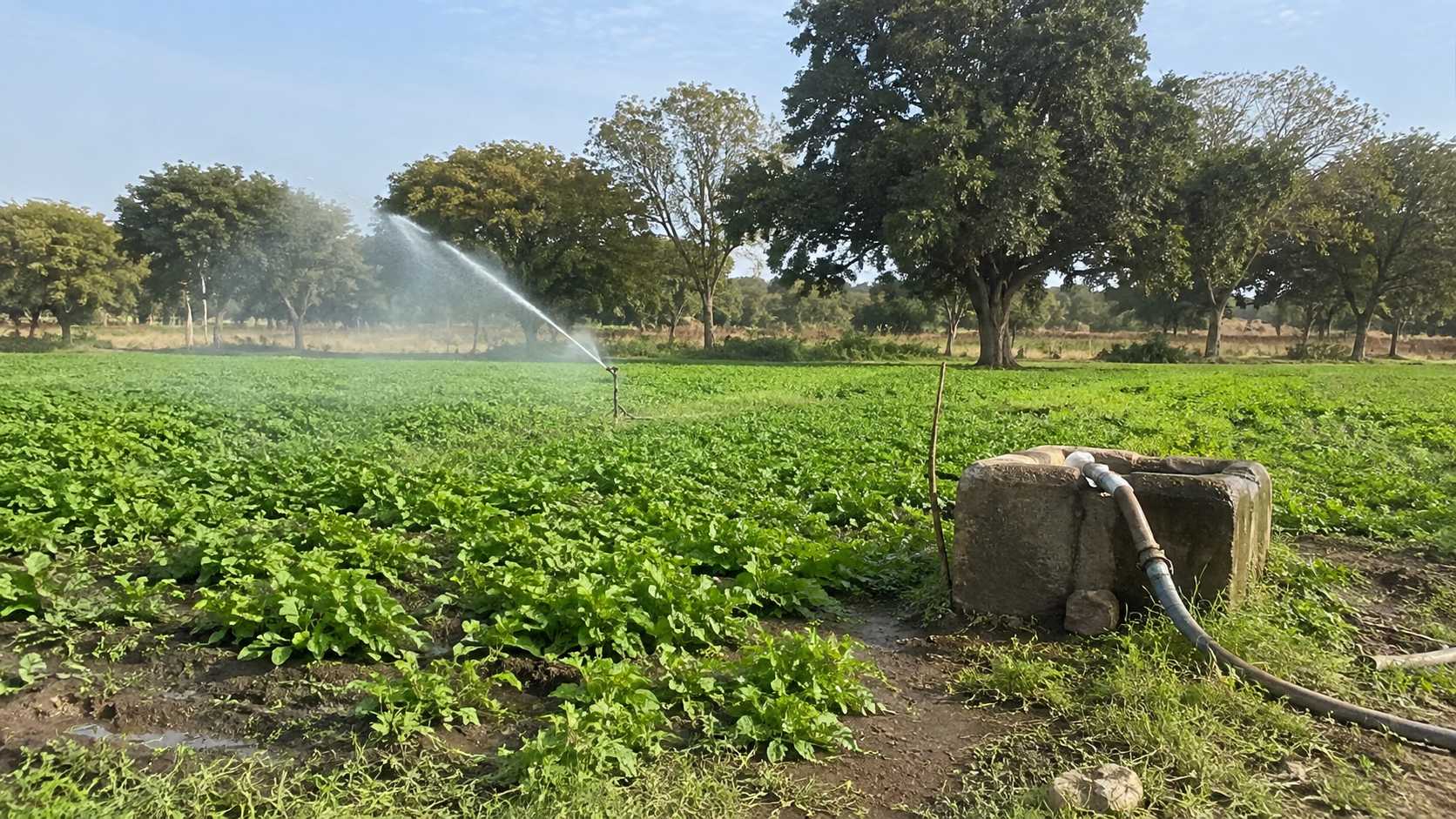 Off grid solar system application for farms and irrigation with crop field and water pumping